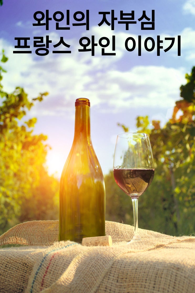  세계적인 와인의 대표지 프랑스~ 프랑스 와인의 역사에 대해서 알아보아요~