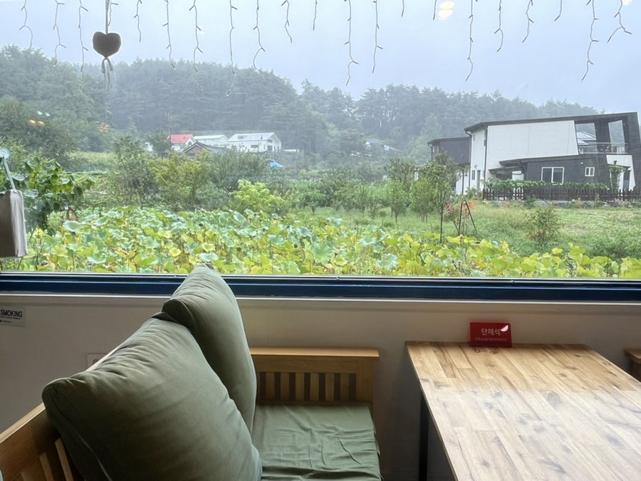 솔안카페 사진 3