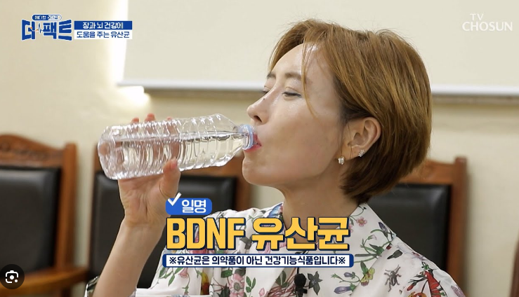  장 건강과 뇌 건강을 동시에! BDNF 유산균의 비밀