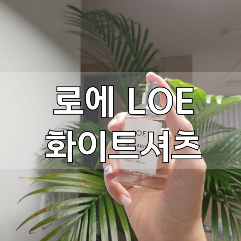 LOE 로에 화이트셔츠 향수 EDT 오드뚜왈렛 - 여자 향수 선물 추천