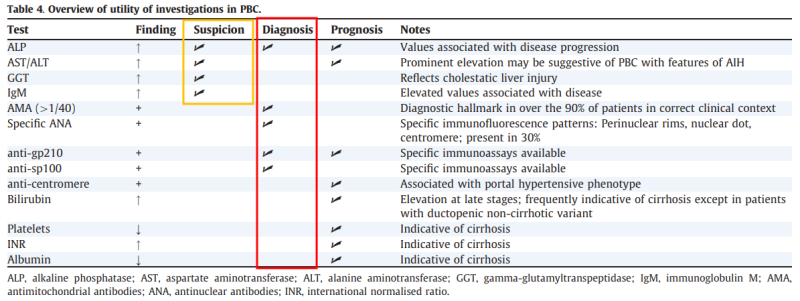 PBC(Primary Biliary Cholangitis, 원발성 담즙성 담관염) : 증상과 진단 : 네이버 블로그