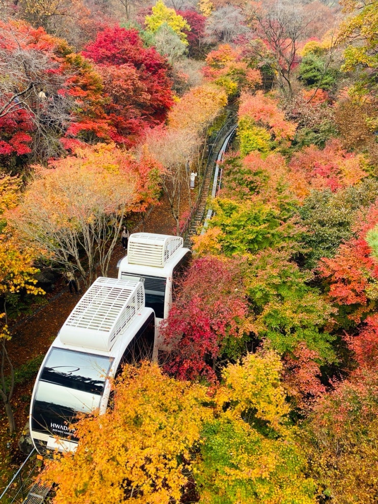  24년 화담숲 가을 축제 예약 오픈 일자, 모노레일, 사진 스팟