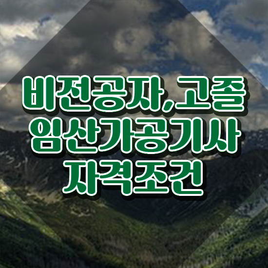  임산가공기사 시험응시조건 온라인으로 편하게 성공한 과정