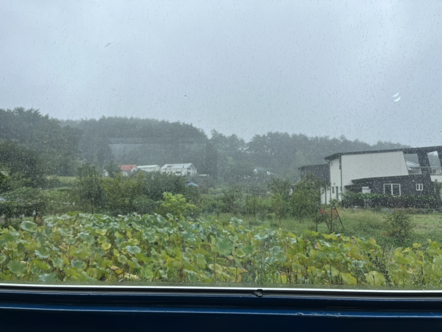 솔안카페 사진 6