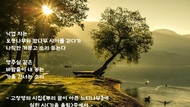 낙엽 낙엽