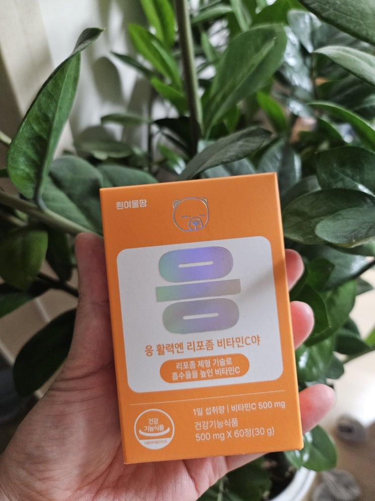  리포좀비타민C추천 - 흡수율 높은 리포좀 비타민C 효능으로 직장인들의 만성 피로 타파!