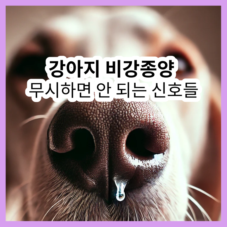  강아지 비강종양, 무시하면 안 되는 신호들