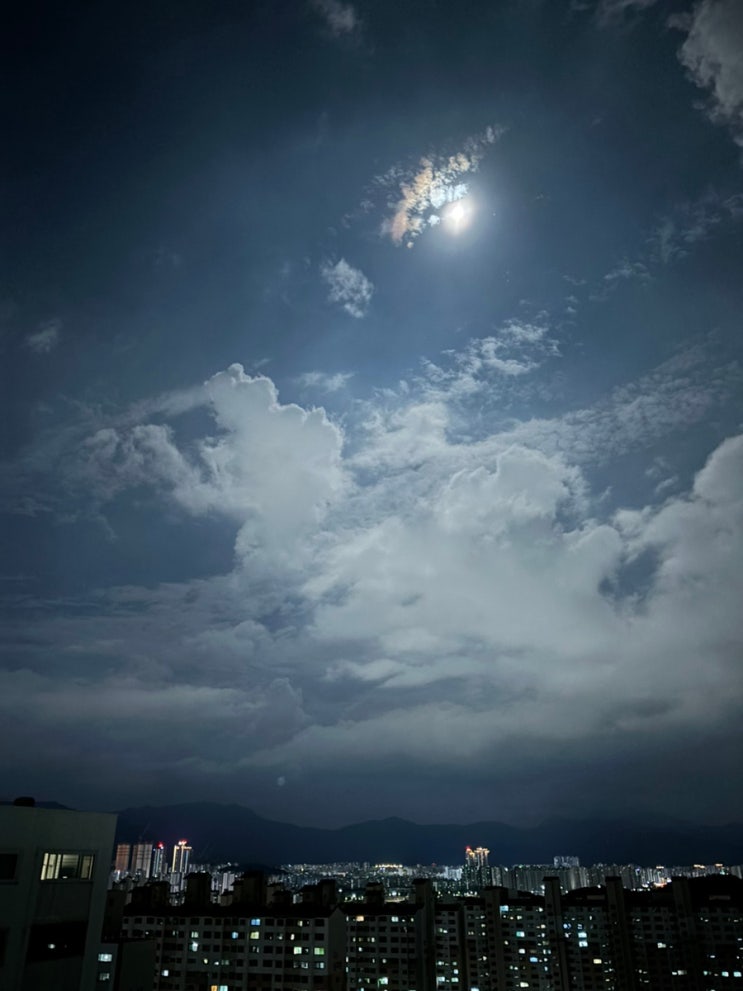  보름달