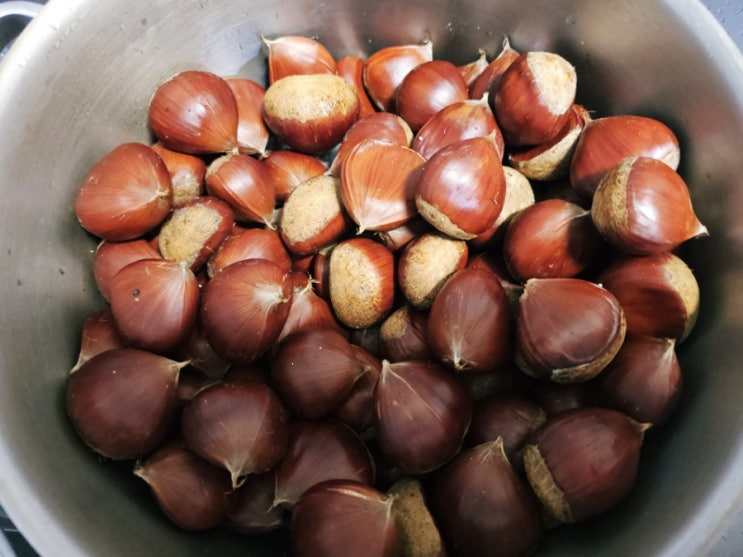  밤 찌는시간 햇밤 나오는시기 효능 함께 알아봐요!