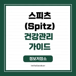  스피츠(Spitz)의 건강관리 가이드