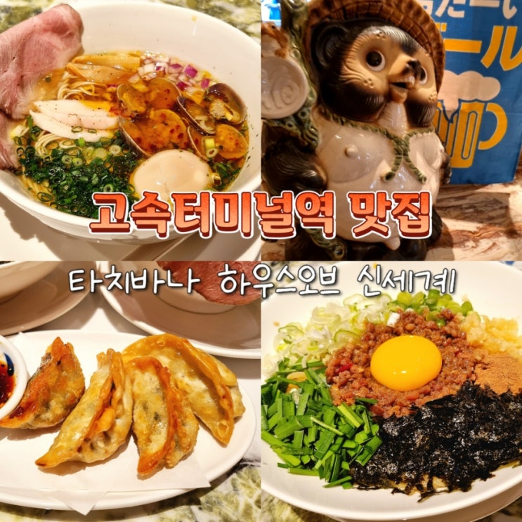  고속터미널역 신세계백화점 라멘 맛집 타치바나 하우스오브 내돈내산