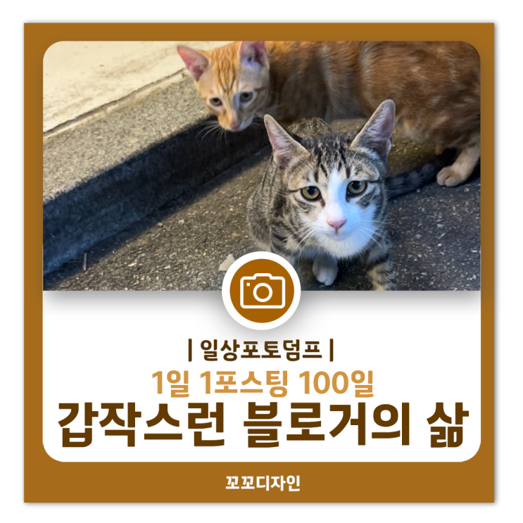  1일 1포스팅 100일차 접어든 나의 일상 1일1포의 변화와 한 주간의 이야기