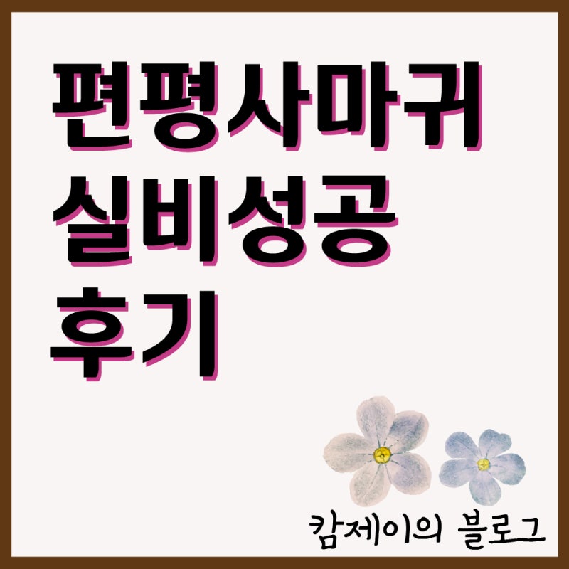 얼굴 편평사마귀제거 및 실비 방법, 실비 성공한 후기(병원홍보아님),평편사마귀치료, 편평....