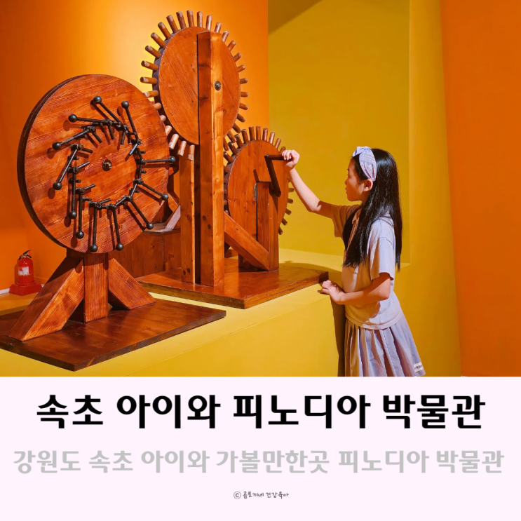 강원도 속초 아이와 가볼만한 곳 볼거리 많은 박물관 피노디아 강원도 속초 아이와 가볼만한 곳 볼거리 많은 박물관 피노디아
