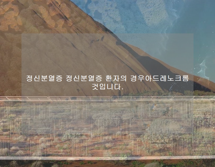 정신분열증 <b>정신분열증 환자</b>의 경우아드레노크롬 것입니다.