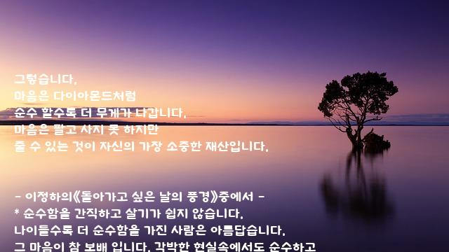 마음 마음
