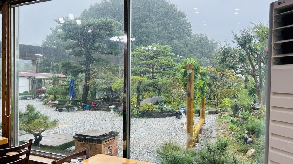 오채연 사진 4