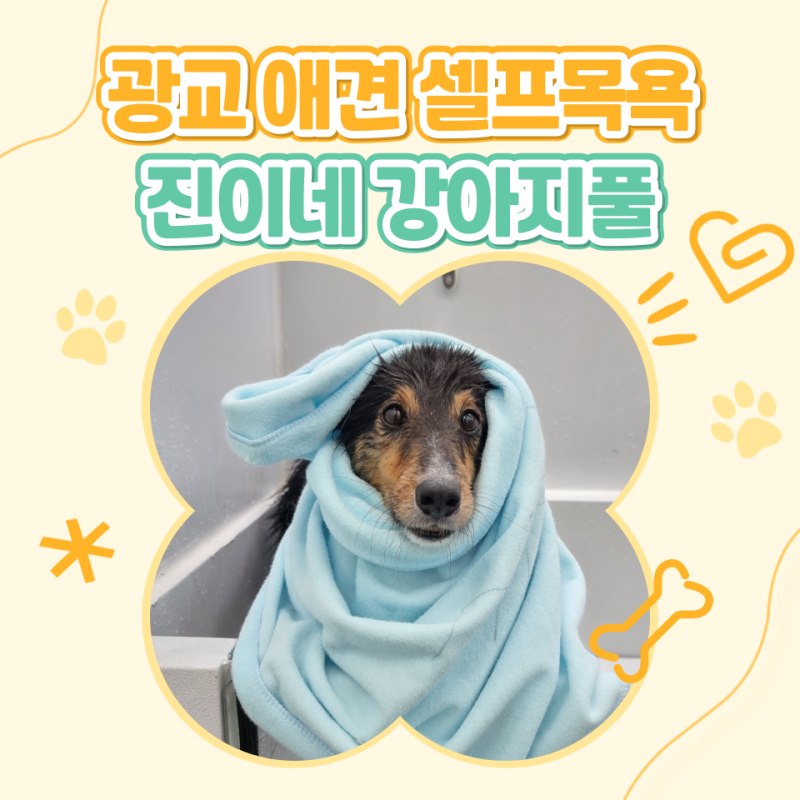 사진 4