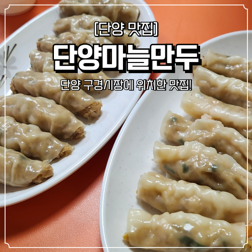  단양구경시장 맛집 단양마늘만두 간식으로 추천