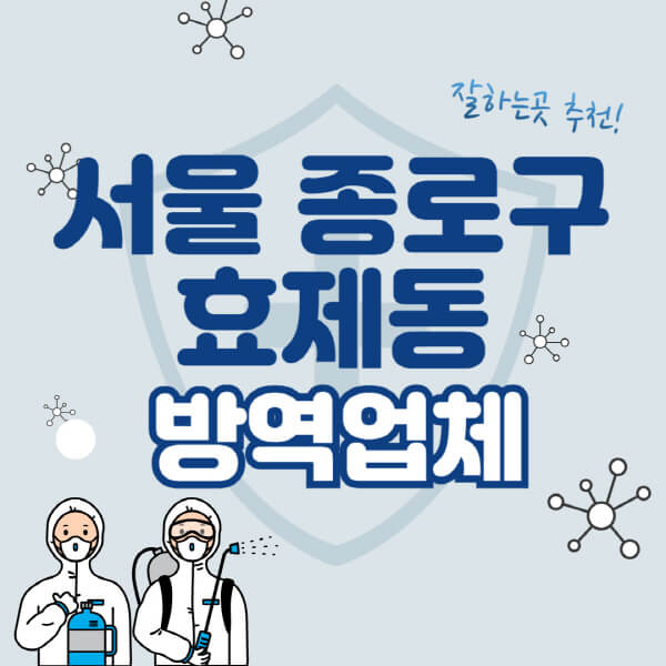  서울 종로구 효제동 방역업체 비용표 및 추천 정보