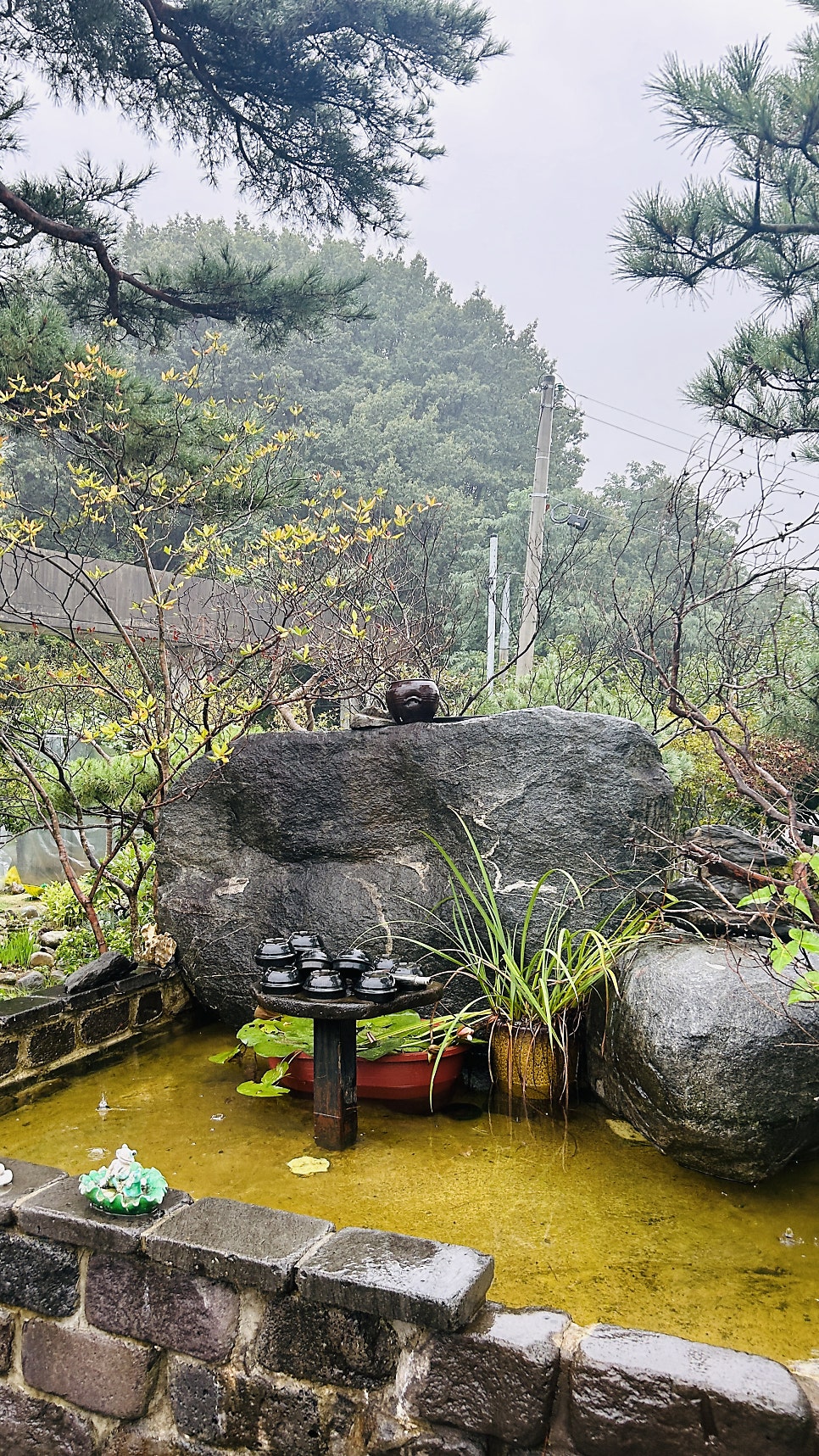 오채연 사진 6