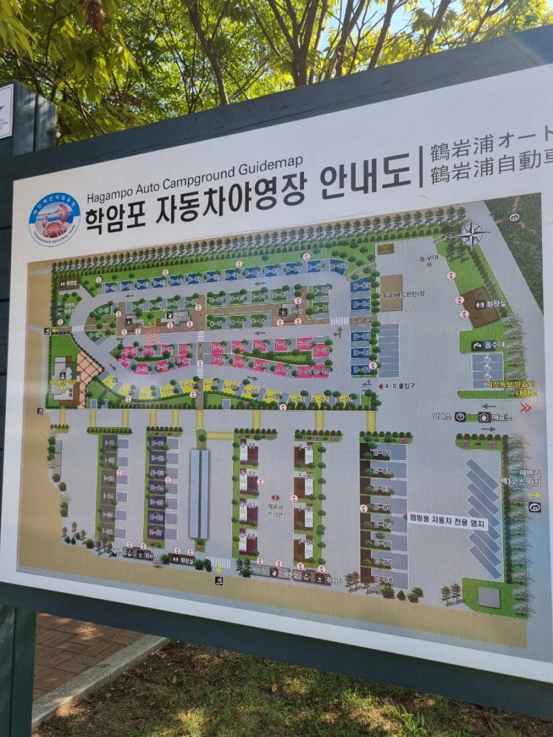학암포야영장 샤워장,냉장고,명당자리.D구역