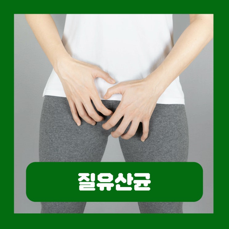  질유산균 종류 먹는 유산균 효능 원리 복용시간 부작용