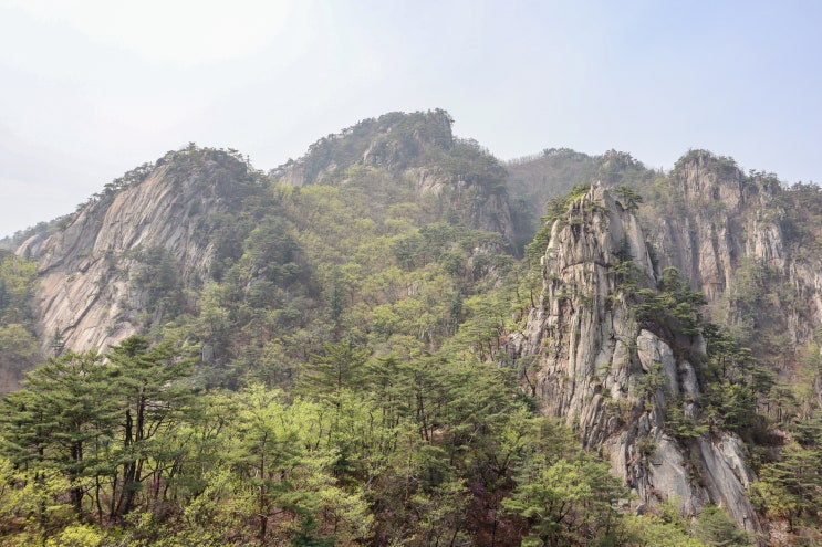 가평 운악산 등산코스 출렁다리 자연휴양림 난이도