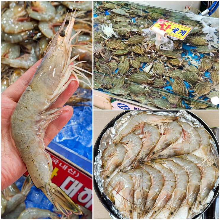  안면도 대하 구매하기 좋은 백사장어촌계수산시장 내돈내산