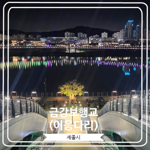  [금강보행교(이응다리)] 세종시를 대표하는 야경 명소