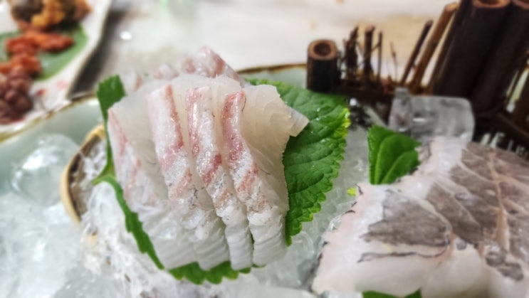  마산 맛집 산호동 혼젠 한상요리 (Feat. 산호동 가야포차)