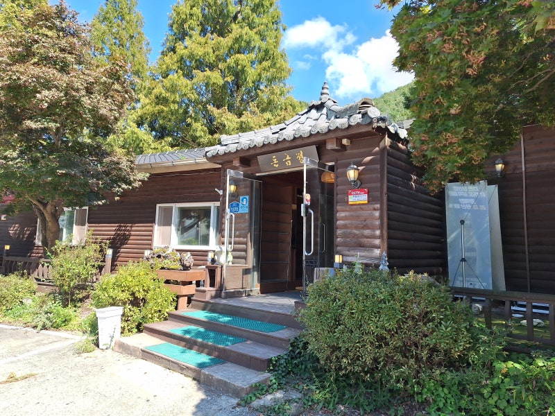 돈금정