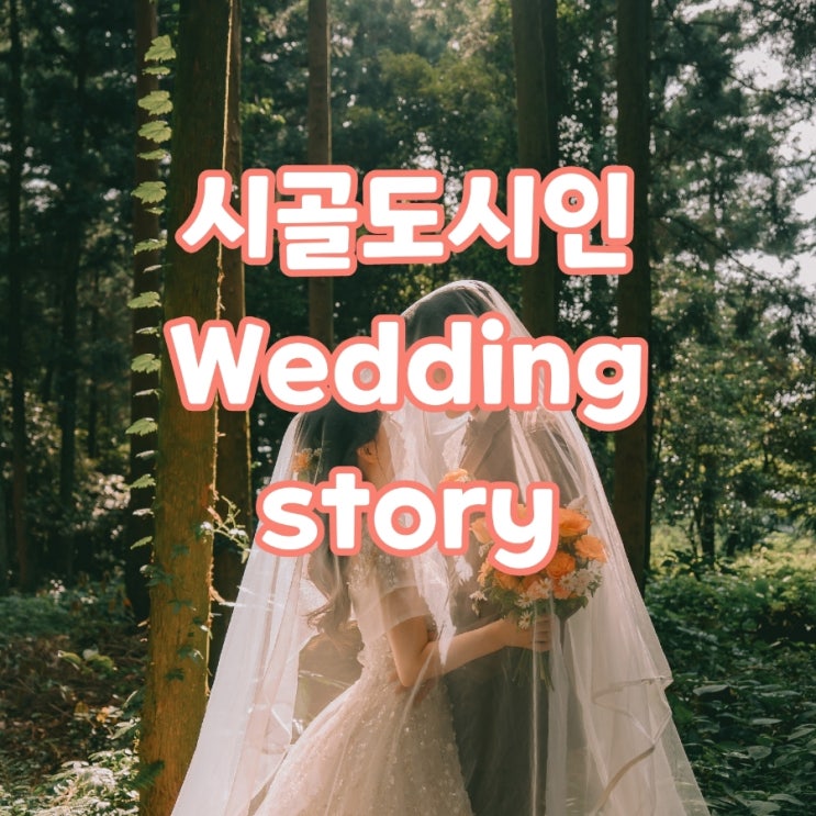  천안 용인 MZ 커플 플래너 없이 결혼 준비 리스트 과정 내돈내산 비용 정리