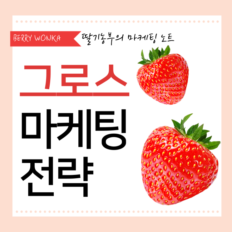  딸기농부의 그로스마케팅 전략