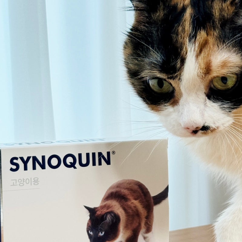 벳플러스 사이노퀸, 고양이 관절영양제