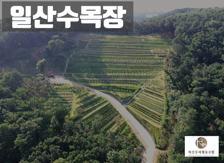  일산수목장 분양가격 절차 안내