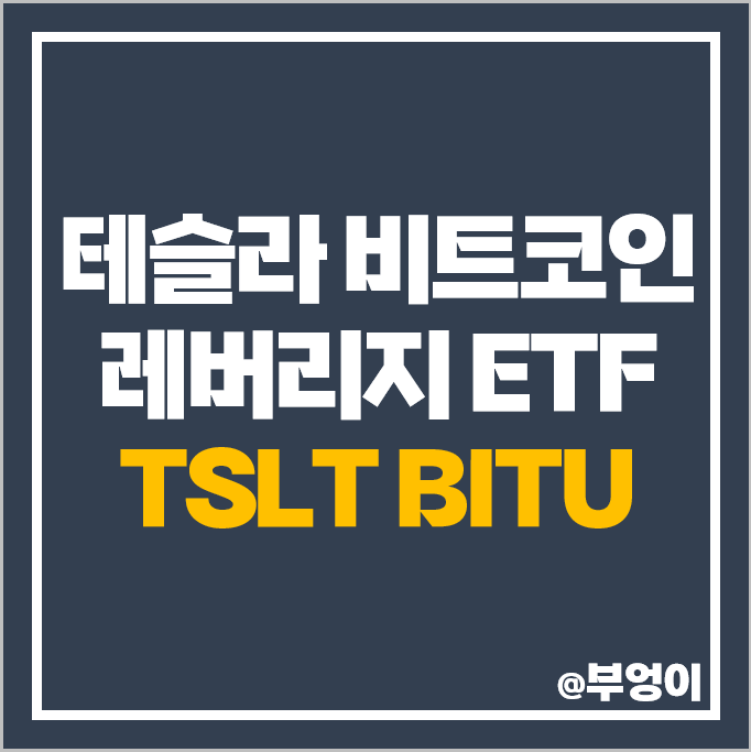 테슬라 관련주 비트코인 ETF TSLT BITU 레버리지 인덱스펀드 테슬라 관련주 비트코인 ETF TSLT BITU 레버리지 인덱스펀드