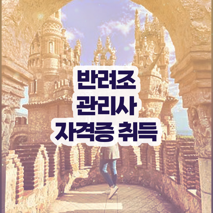  모란앵무 먹이 , 반려조관리사 자격증 단기간에 합격한 후기 핵심 정보 정리