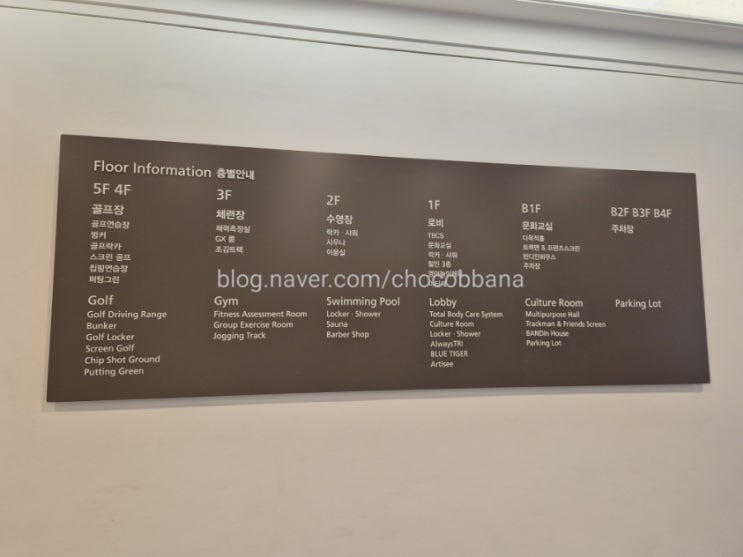  삼성레포츠센터 서초 자유수영 휴일운영 주차 직원할인 주변정보 꿀팁 신라호텔 수영장 교대역 강남역