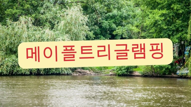 메이플트리글램핑 사진 2