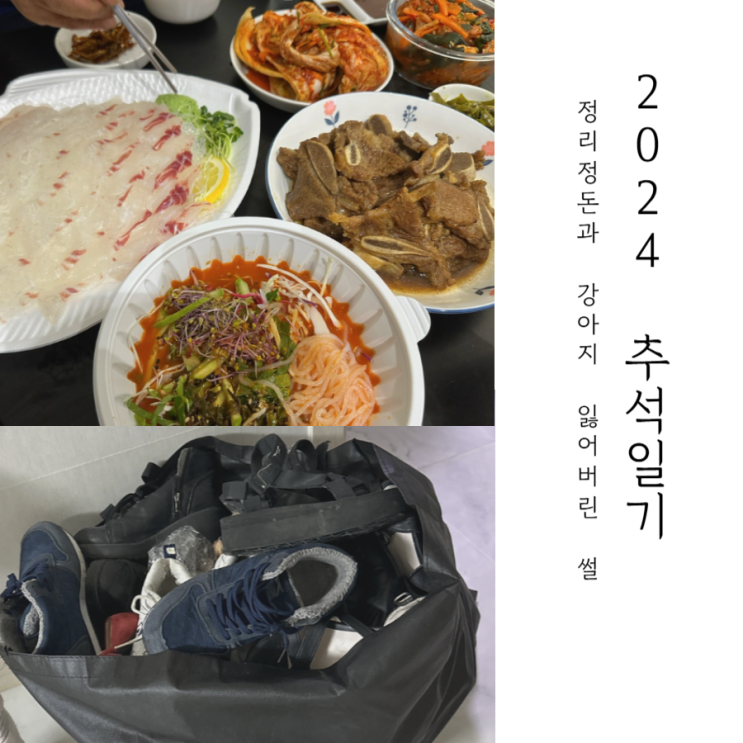  집 청소하고 강아지 잃어버린 썰 : 다사다난했던 추석 일기