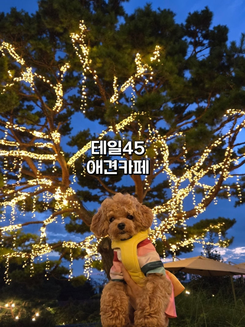 사진 3