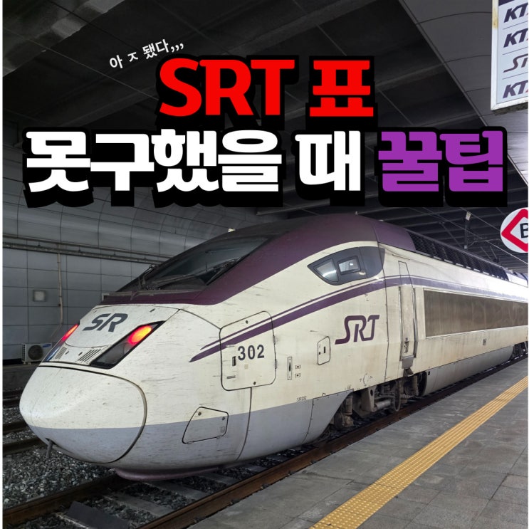  SRT 표 못샀을 때 예매 꿀팁 (입석 100% 타는법, 무임승차?)