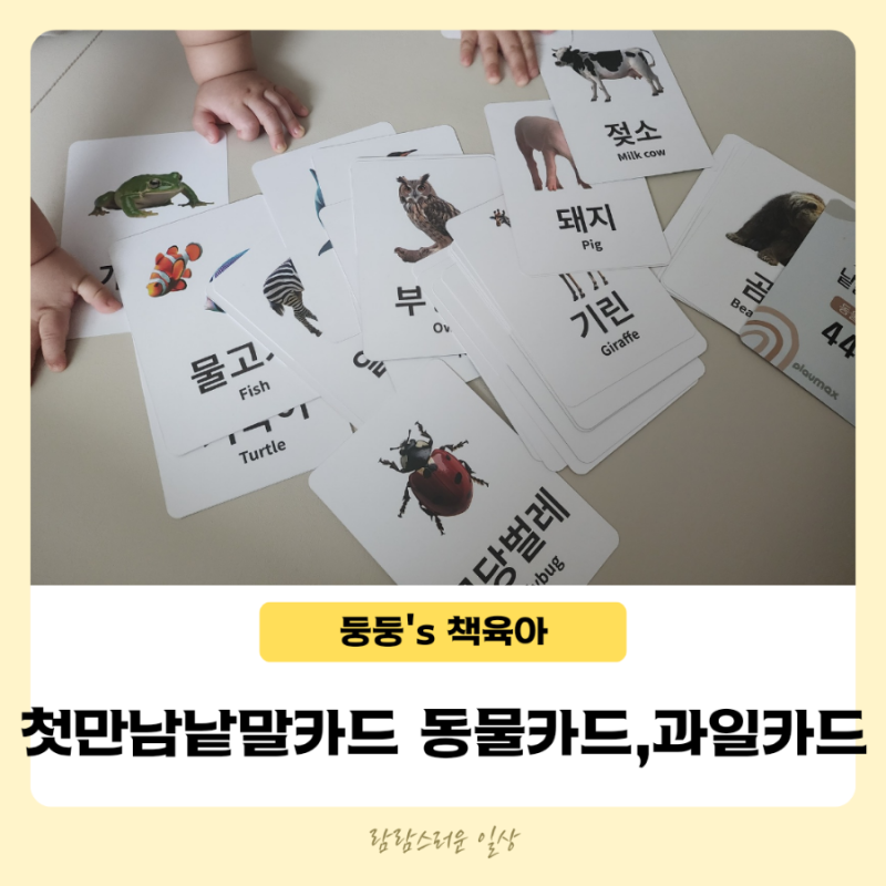 블로그 후기 사진