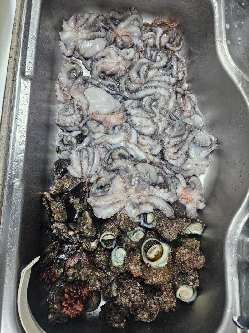 해루질 뿔소라 회 숙회 손질법 쓴맛 제거하고 드세요(치마살 제거)