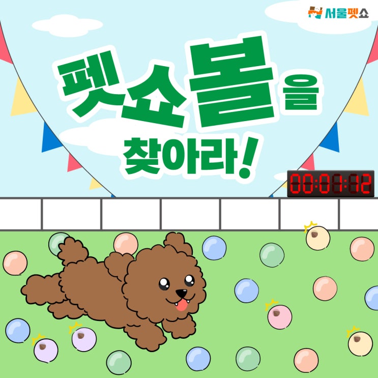  2024서울펫쇼 펫쇼볼을 찾아라 꿀팁!!