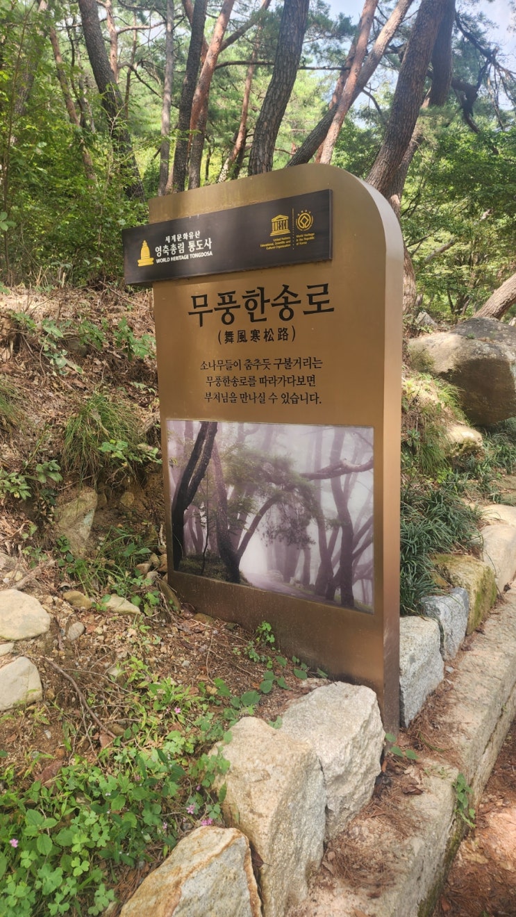  양산 통도사 무풍한송로 및 무료주차장