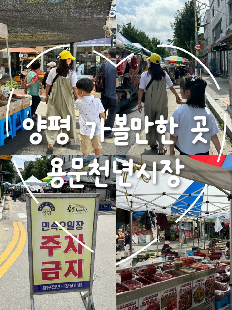  양평 용문천년시장 오일장 방문기: 추석에 가족과 함께한 즐거운 시장 나들이