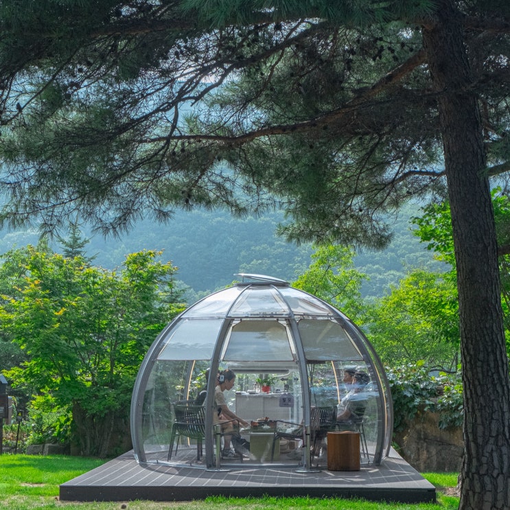  강원도 정선 대형 한옥 카페 하이원리조트 운암정 별당 추천 메뉴