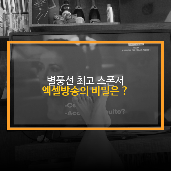  별풍선 최고 수익 BJ, 엑셀 방송의 비밀 스폰 회장 후원 뷰봇 셀프후원 아프리카TV